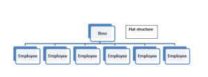 Flat Organization | Insight Tycoon
