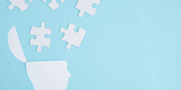 mental models picture